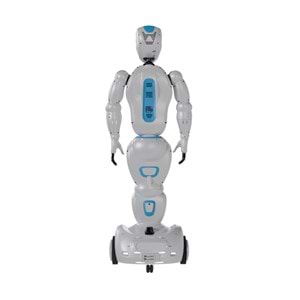 Ada 7 Sosyal Robot